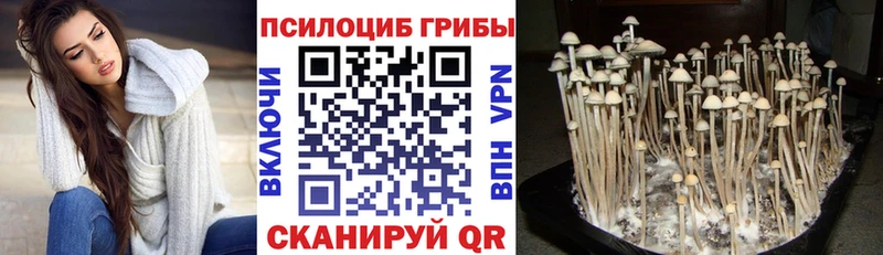 Галлюциногенные грибы мухоморы  купить закладку  Козловка 
