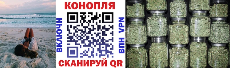 Бошки марихуана OG Kush как найти закладки Козловка